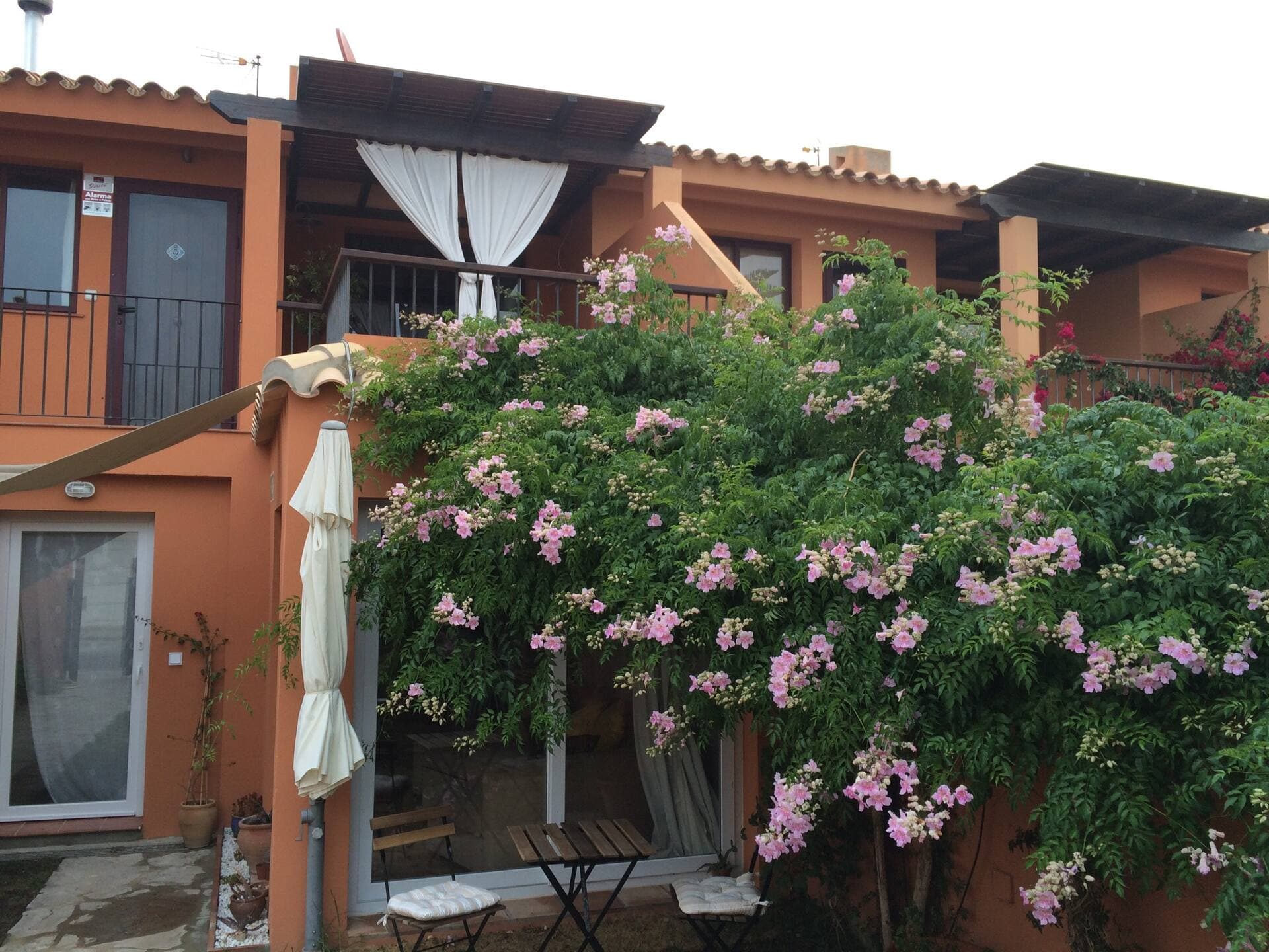 Jardín con buganvilla del apartamento cerca de Los Lances