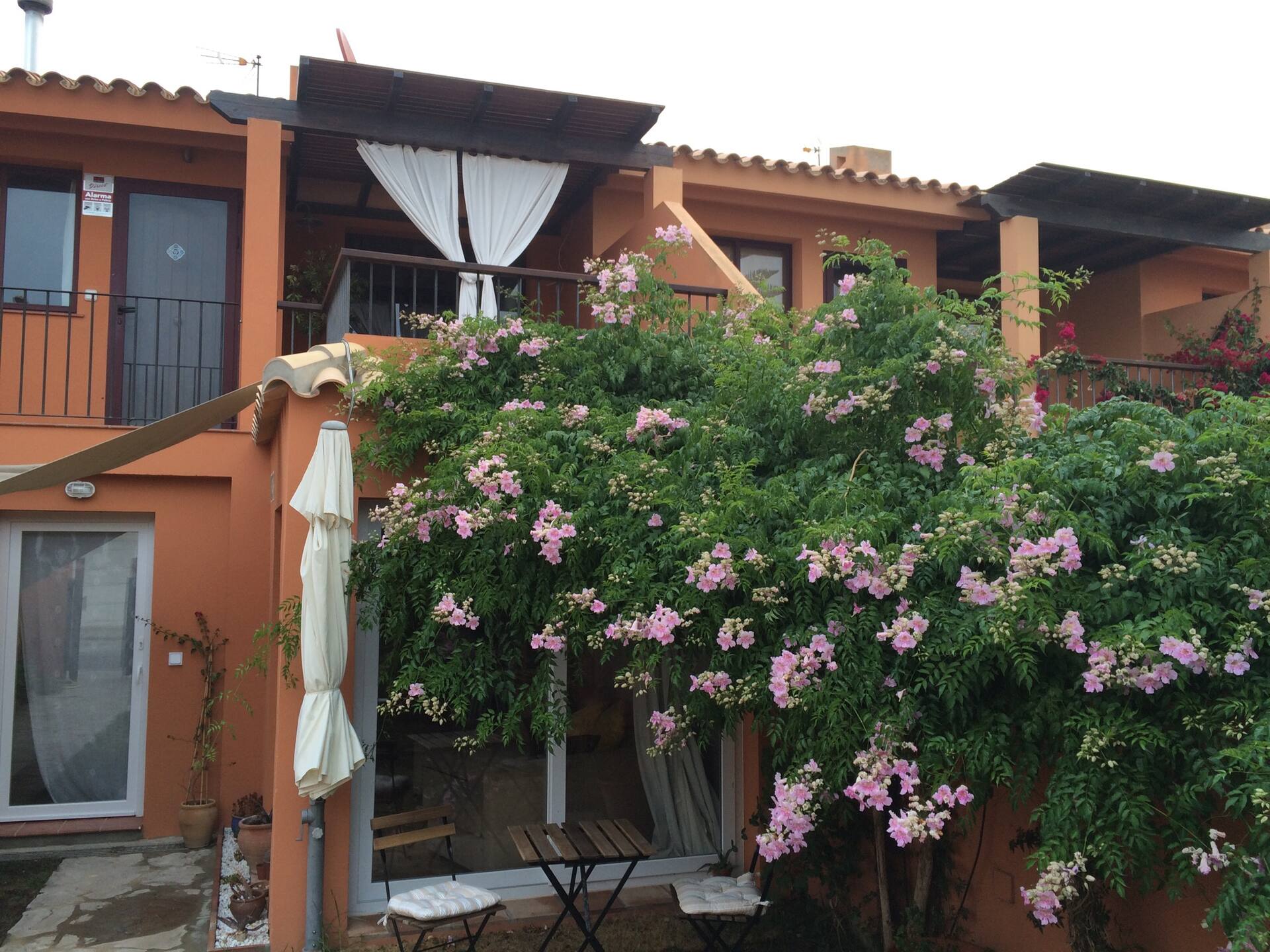 Jardín con buganvilla y fachada del apartamento en Tarifa